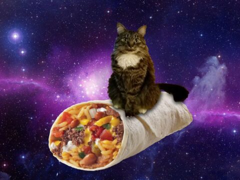 Máquina do Fim-do-Burro